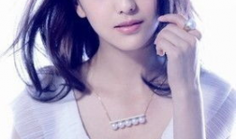 佟丽娅演的电视剧