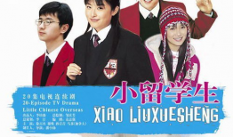 小留学生电视剧,跨越国界的青春成长之旅