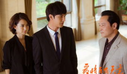 爱情自有天意电视剧全集,命运交织的浪漫传奇